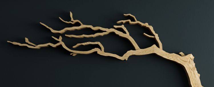 Cornish Windswept Oak Tree Shelf Parralax