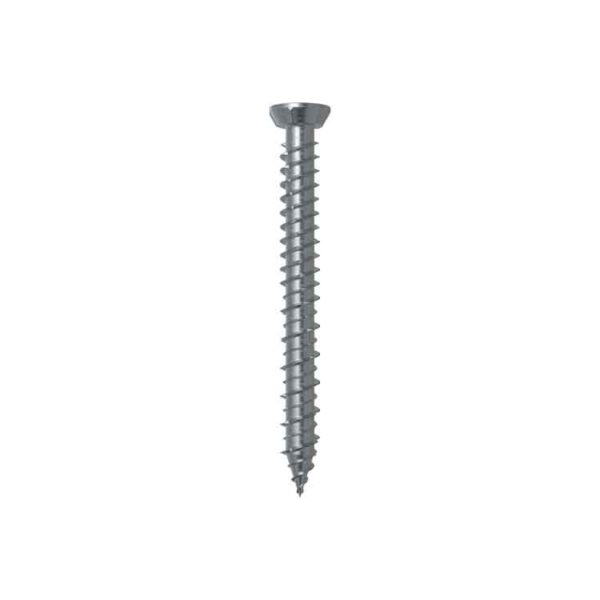 Fischer-FFS-Window-Screws